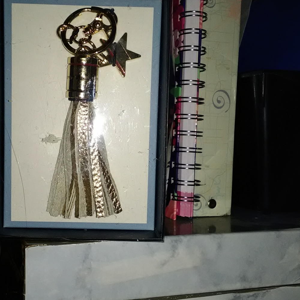 Purse/key charm